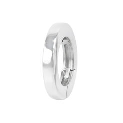 Alternative view of FLATROUND  HINGE CLASP