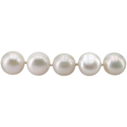 Alternative view of GFN004