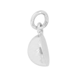 Alternative view of CHARM RX376