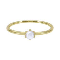A3433_1 GOLD