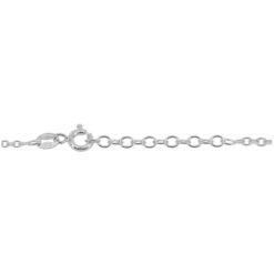 R040 ANK - Image 2