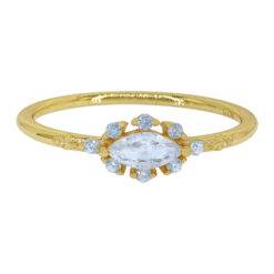 ACZ0823_2 GOLD