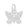 CHARM_RX376_1